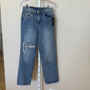 NWT BLANKNYC size 24 The Howard Distressed Blue Jeans